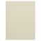 JAM Paper 4.62" x 6.25" Ivory Panel Blank Foldover Cards